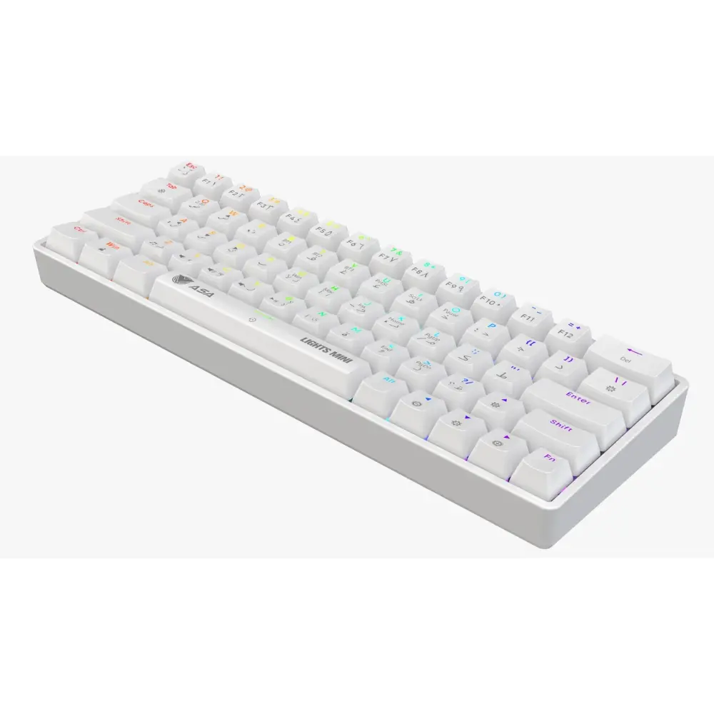 f89246ee-09ab-4a5f-86ba-66e3a1870284-thumbnail-1000x1000.webp