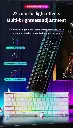 2731bf82-05a1-4748-8dbc-b4327dd36c45-thumbnail-1000x1000-70.webp