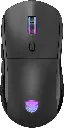 Mouse ASA M75