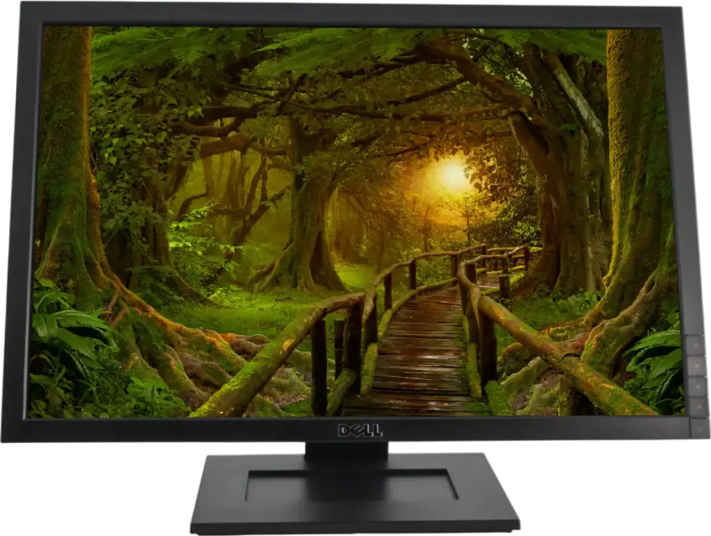 dell 22 inch LED E2210c (Refurbished )