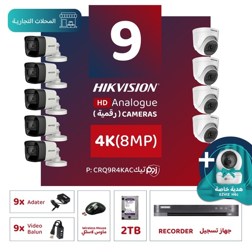 Integrated Commercial Package (9 4K/8MP-HD Digital Surveillance Cameras)