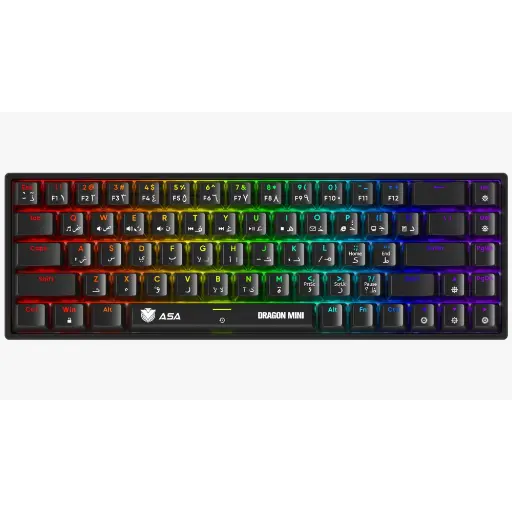 Keyboard ASA DRAGON MINI
